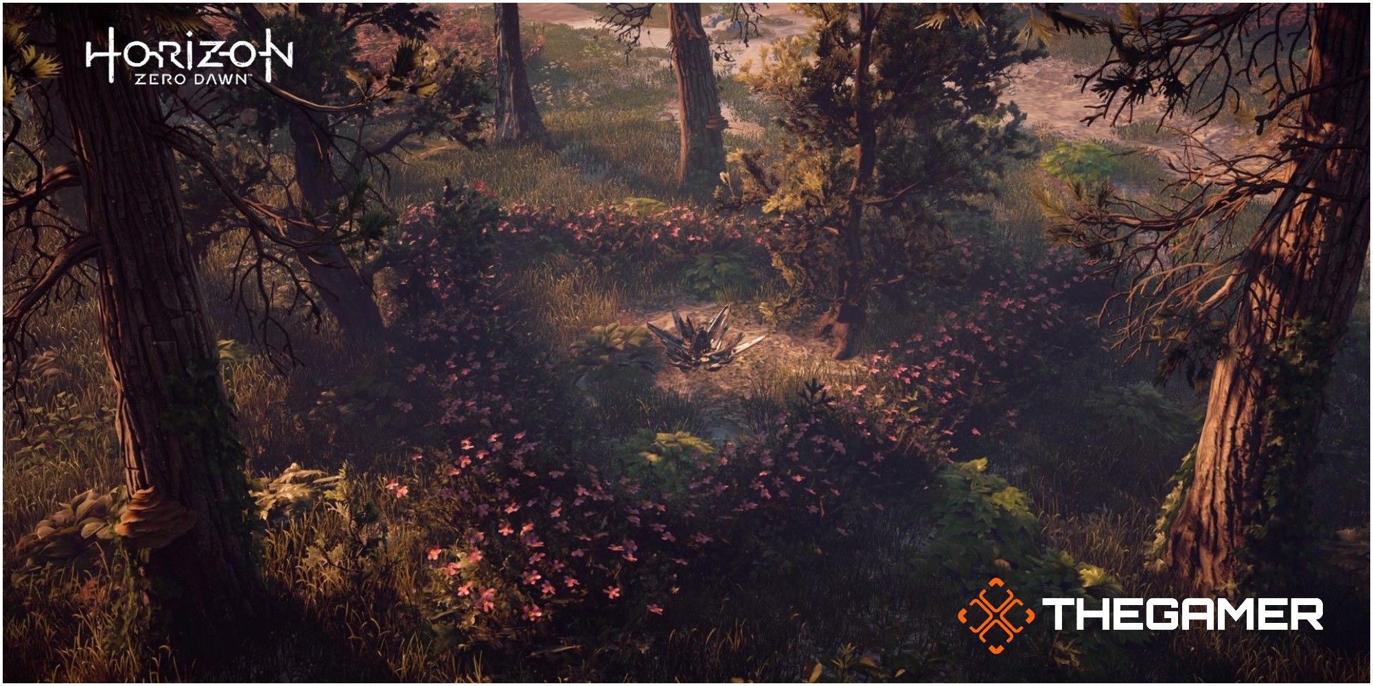 Horizon Zero Dawn Metal Flower Location Set One Metal Flower Nine