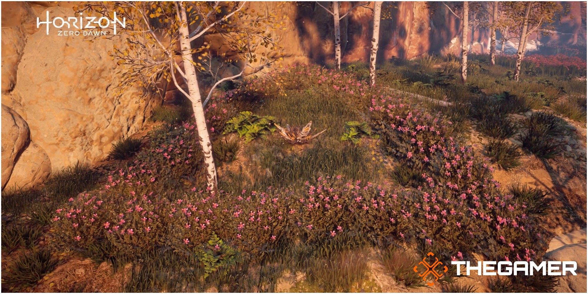 Horizon Zero Dawn Metal Flower Location Set One Metal Flower Three