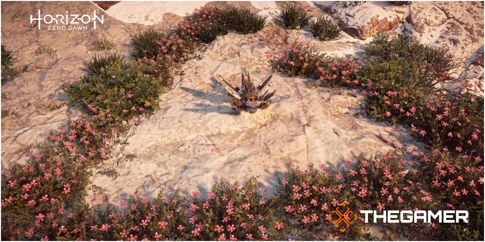 Horizon Zero Dawn Metal Flower Location Set One Metal Flower Two