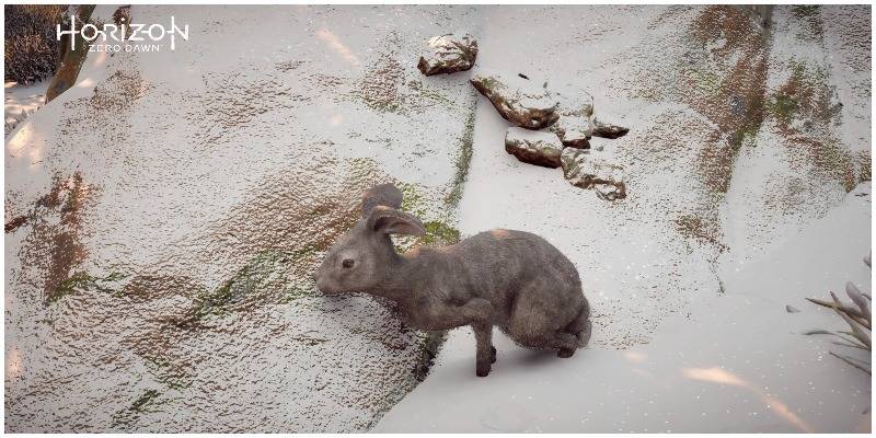 Horizon Zero Dawn: Ultimate Guide To Animal Resources And The Best ...