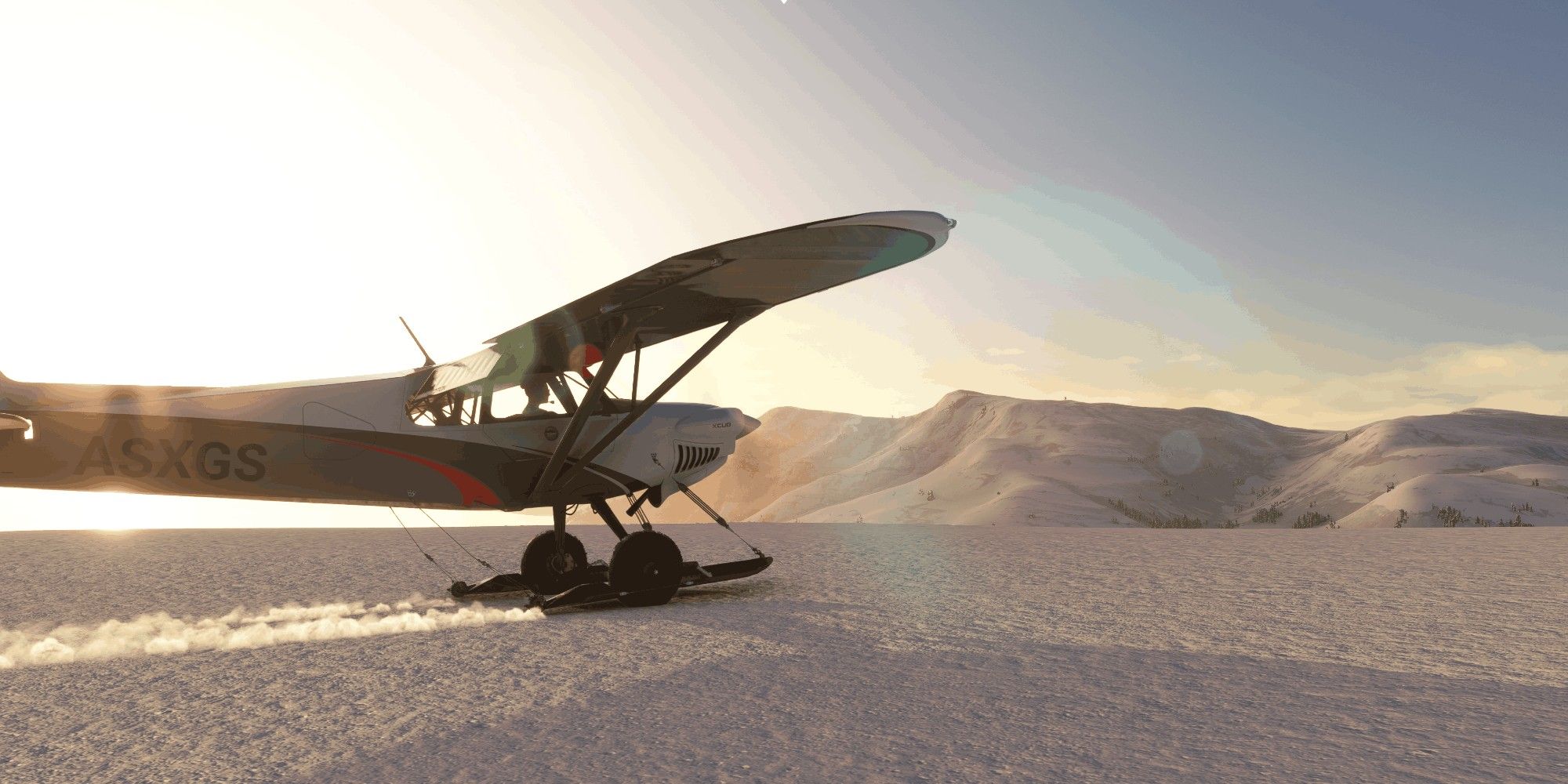Microsoft Flight Simulator Snow Landing