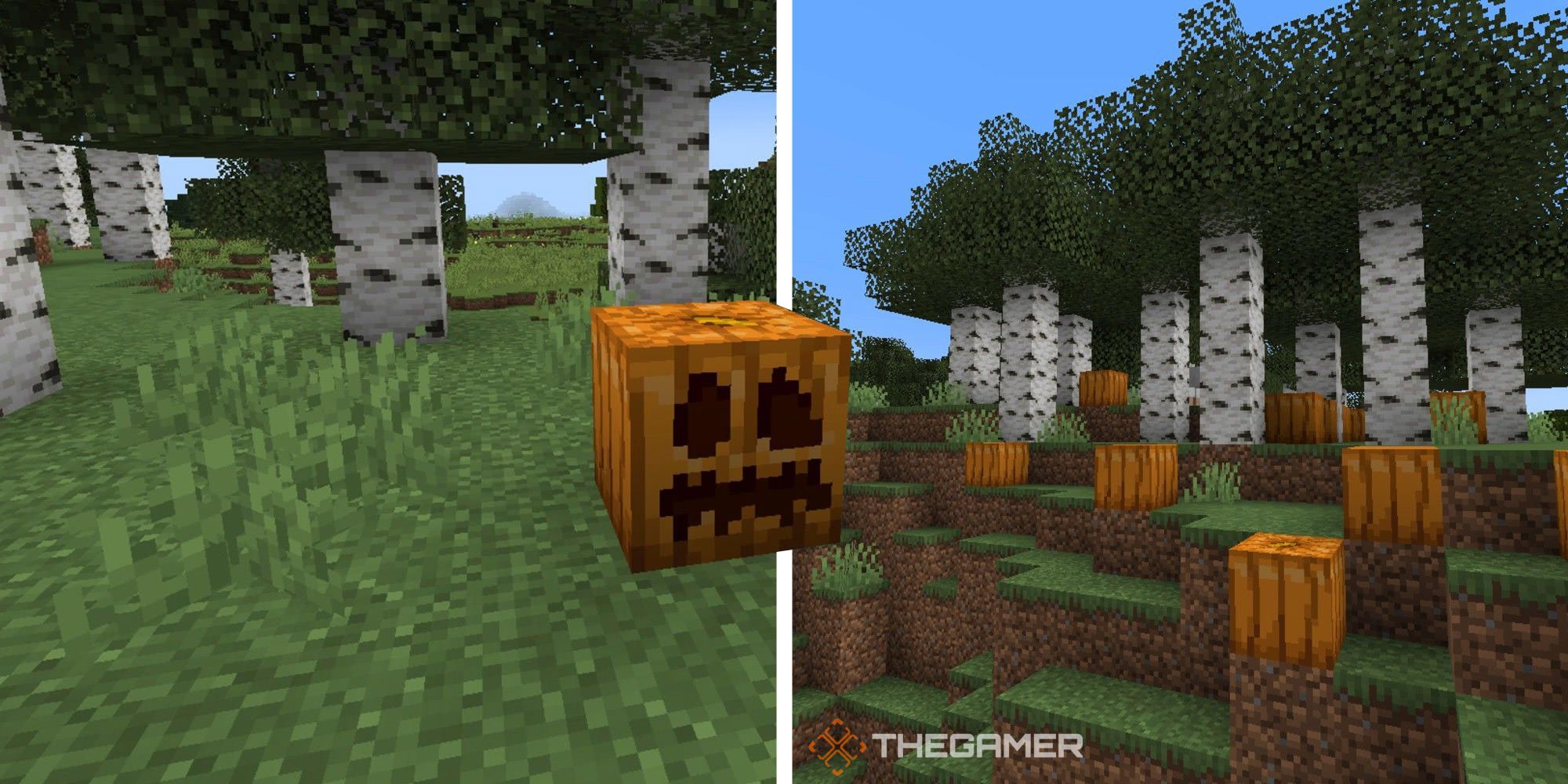 Split image of Minecraft's Pumpkins