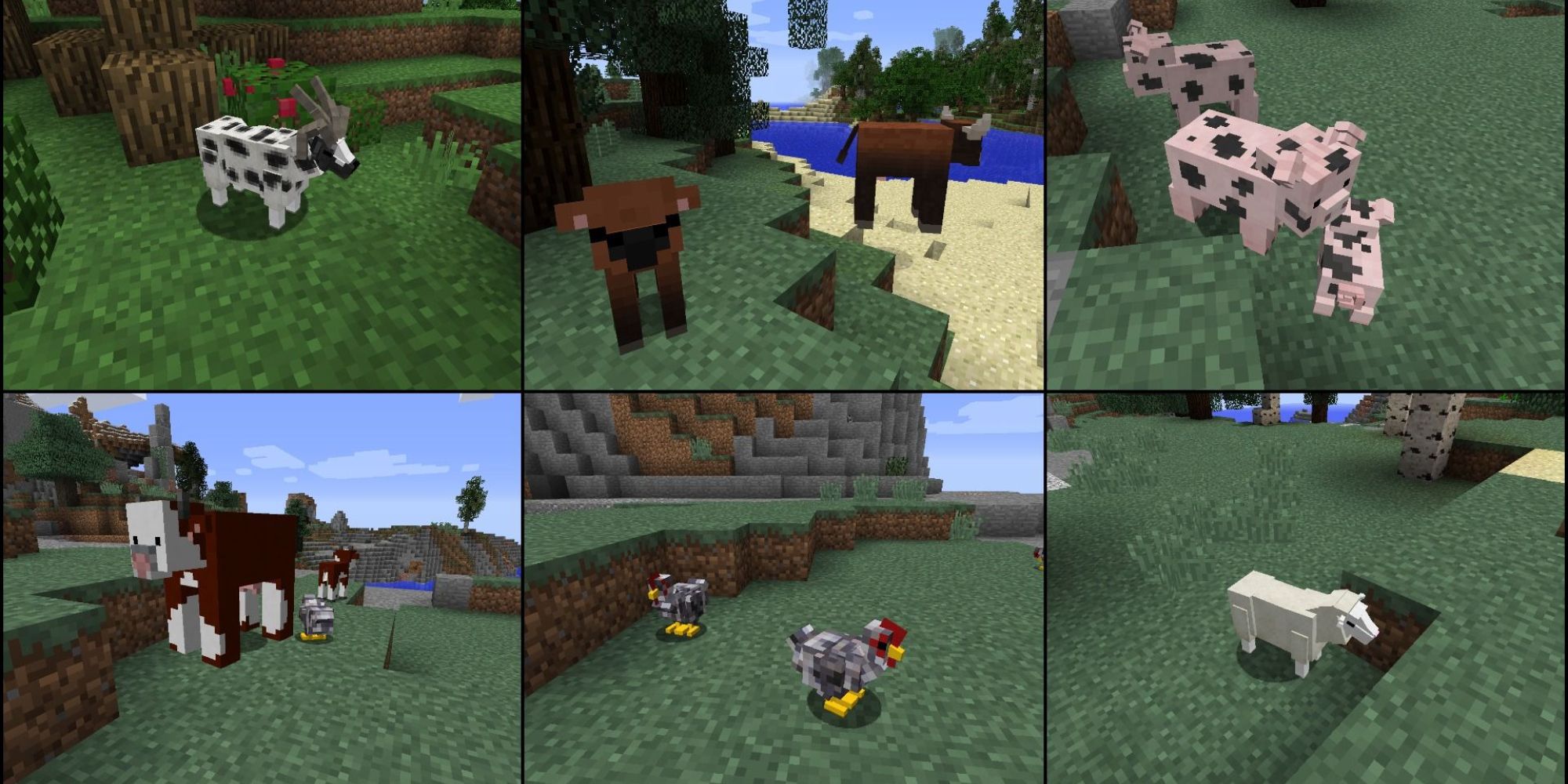 Minecraft Collage of modded farm animals