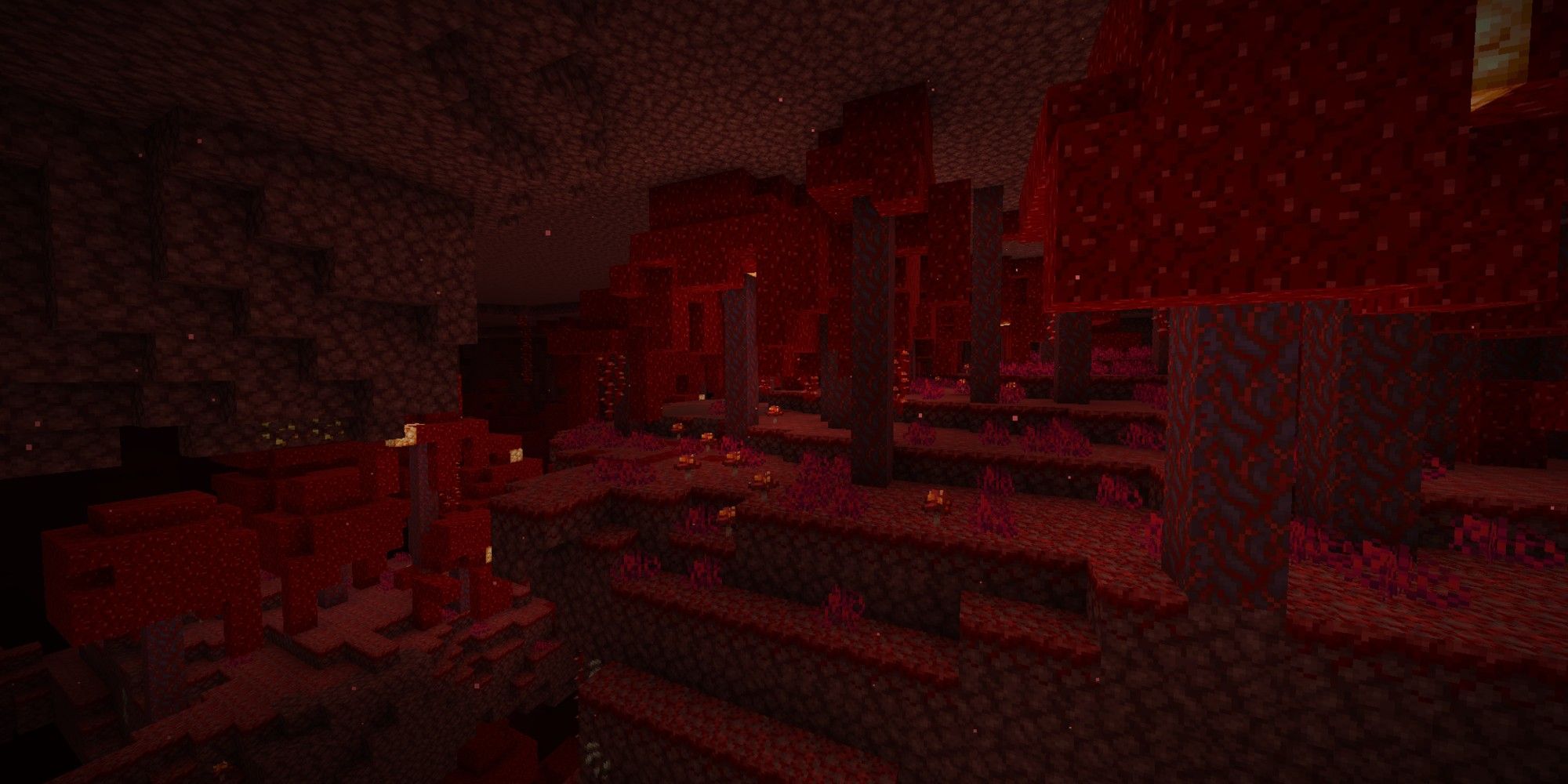 crimson forest biome in the nether