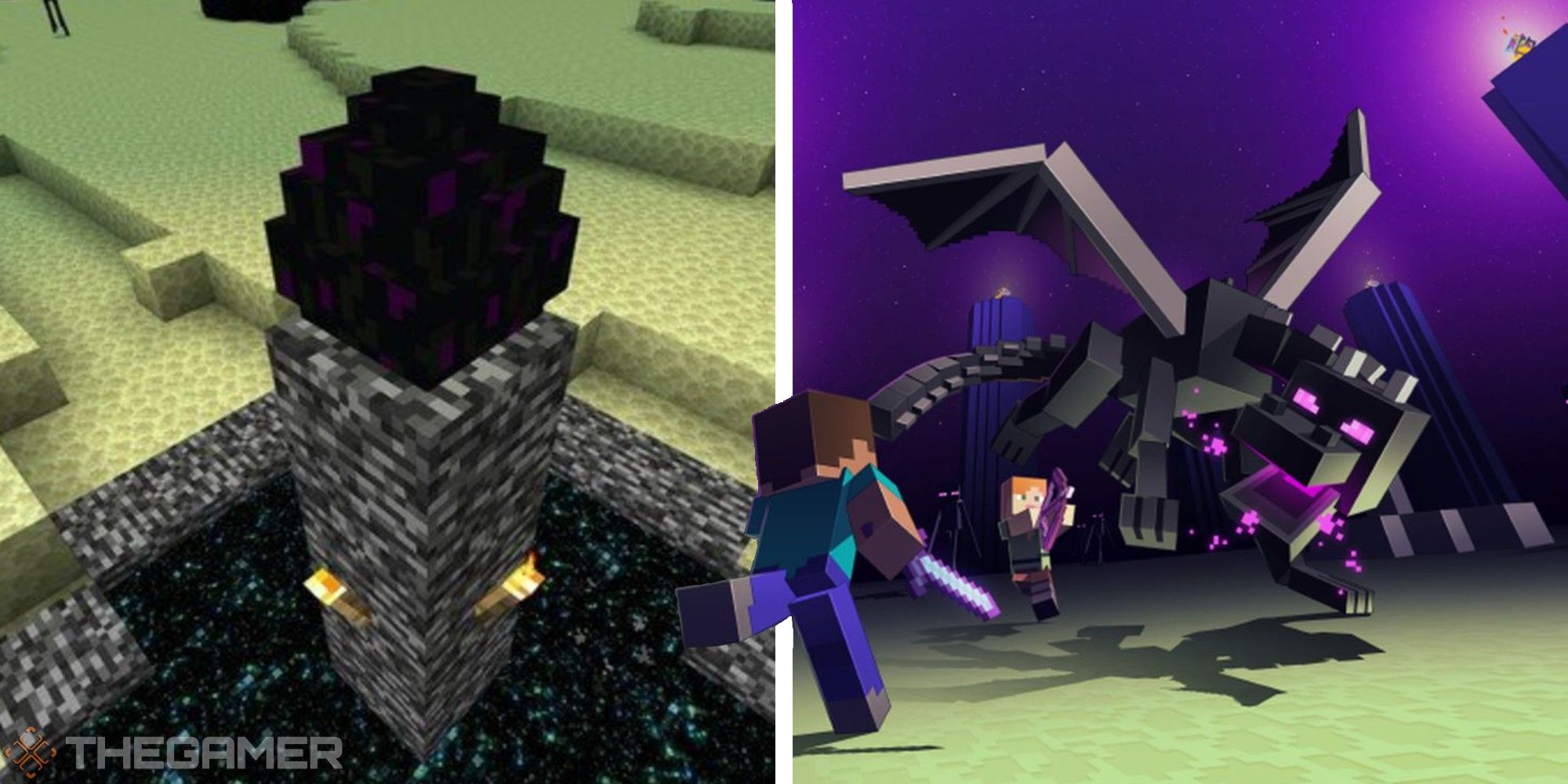 Everything You Need To Know About The ENDER DRAGON In Minecraft! 