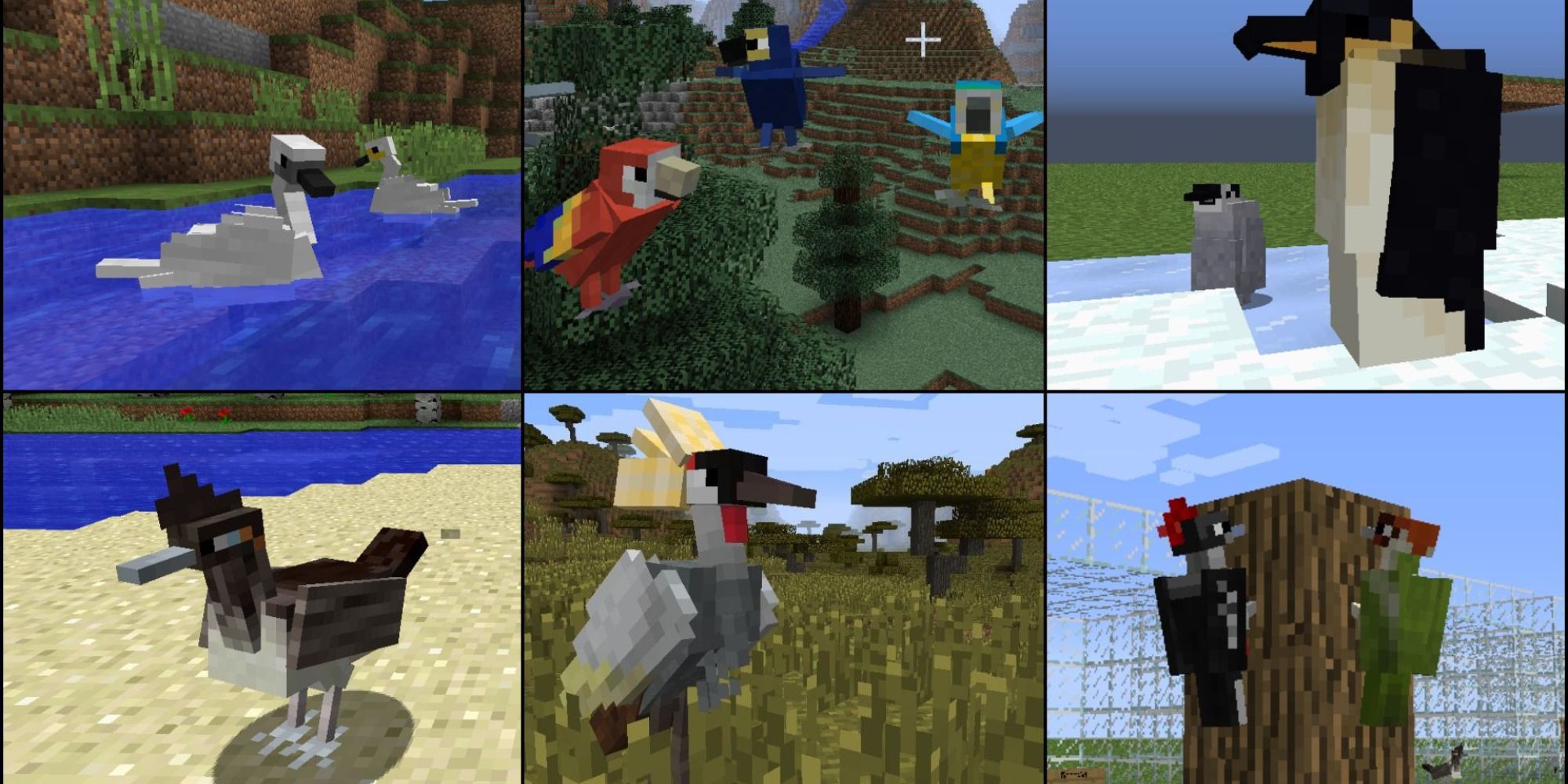 Minecraft collage of birds mod
