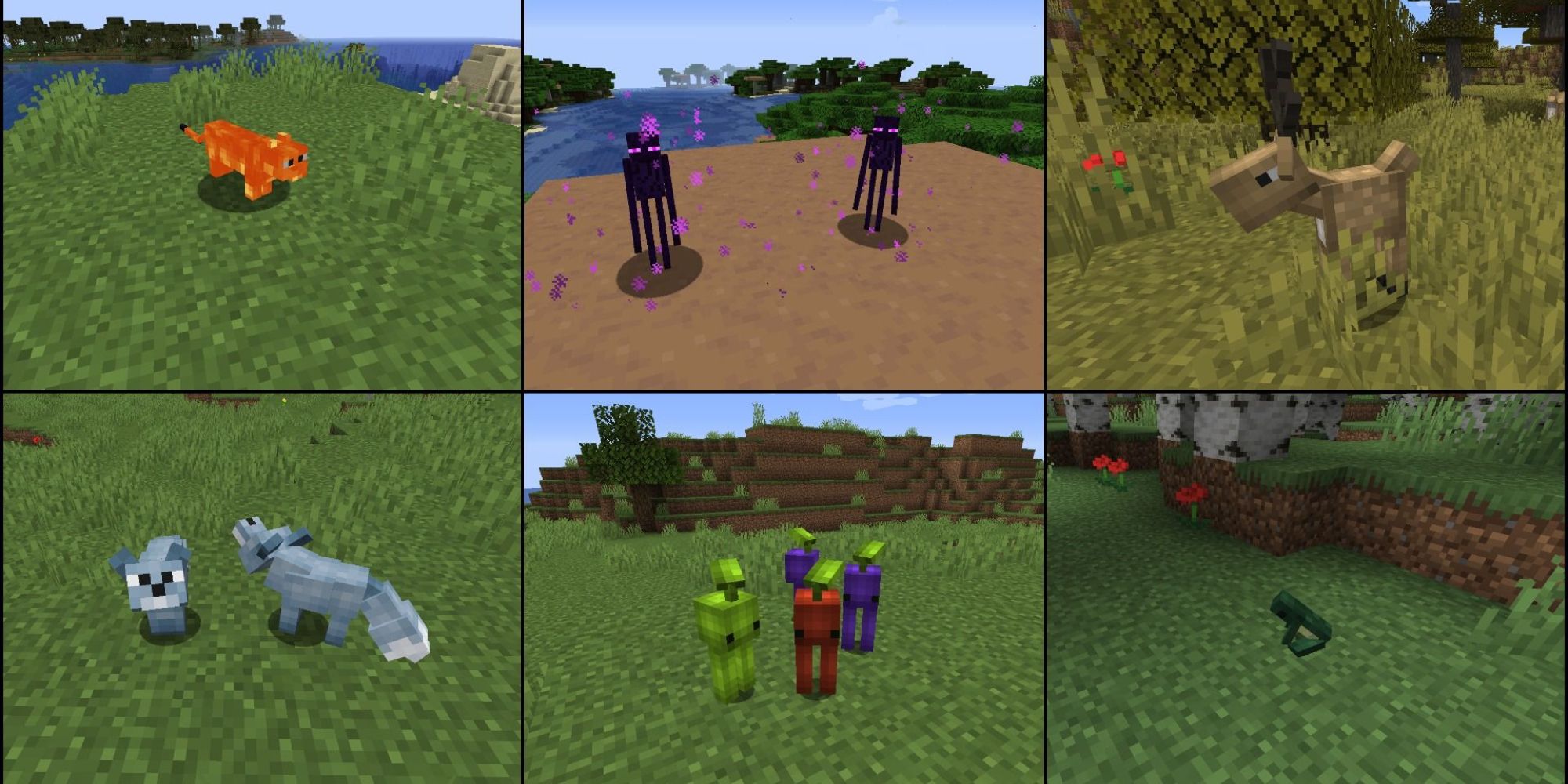 Minecraft Collage of modded creatures