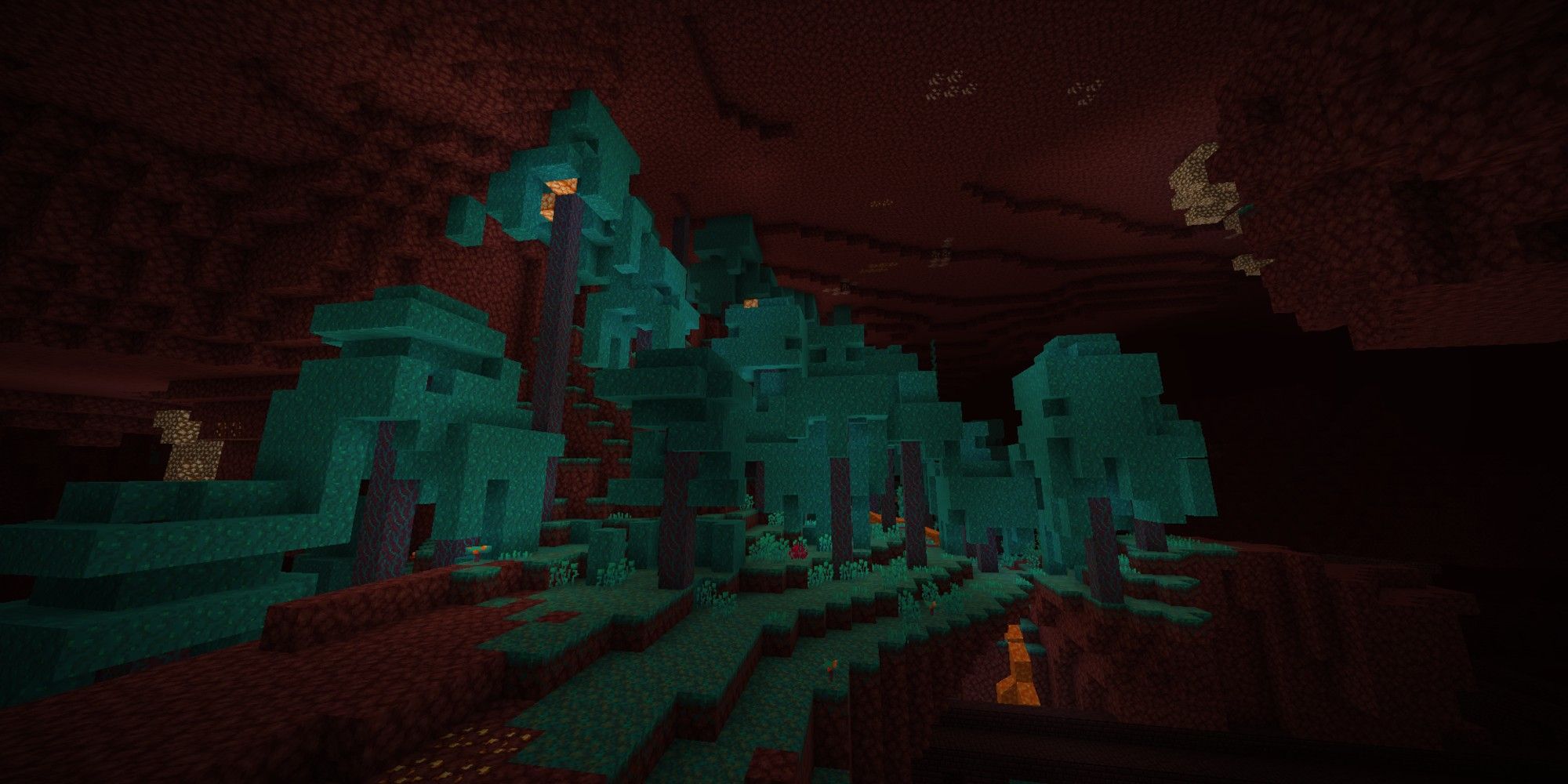 warped forest biome in the nether
