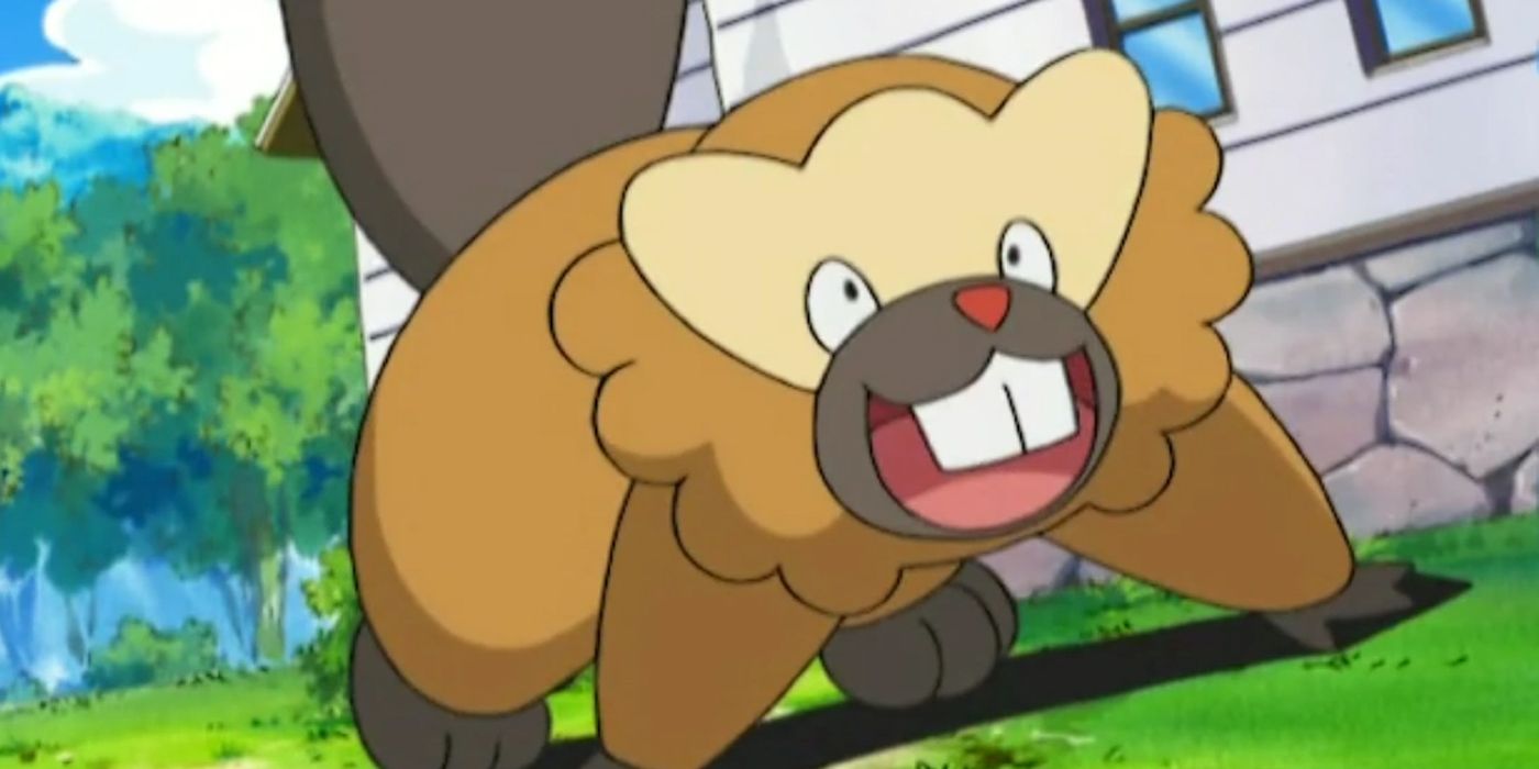 Pokemon Bidoof Useless bibarel