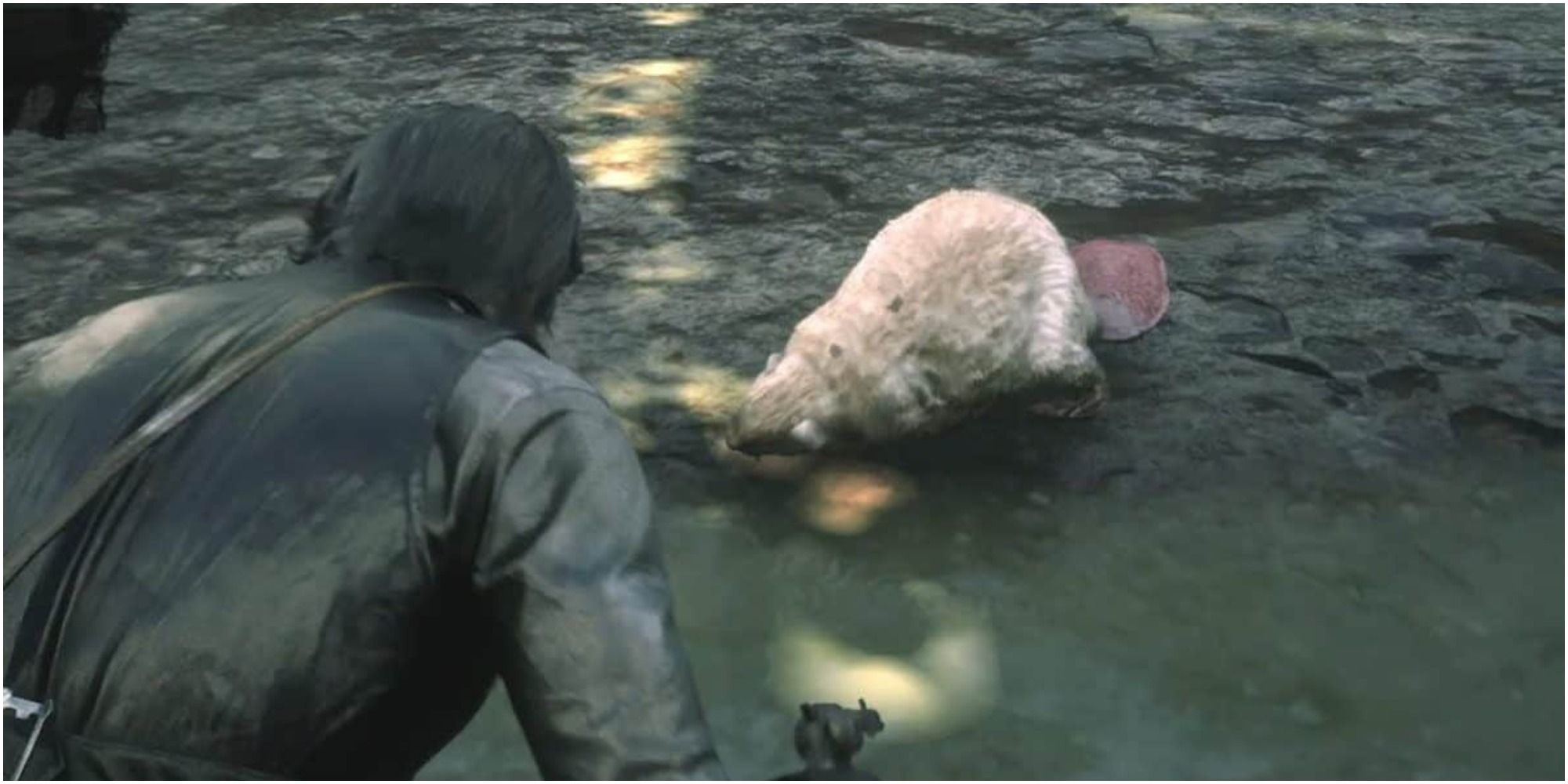 Red Dead Redemption 2 Approaching The Body Of The Legendary Beaver