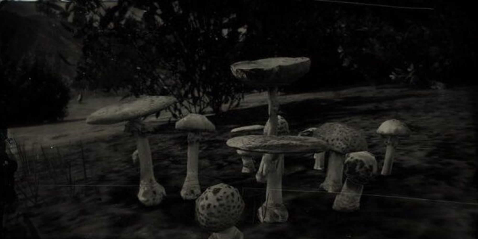 Red Dead Redemption 2 Parasol Mushroom black and white loading image