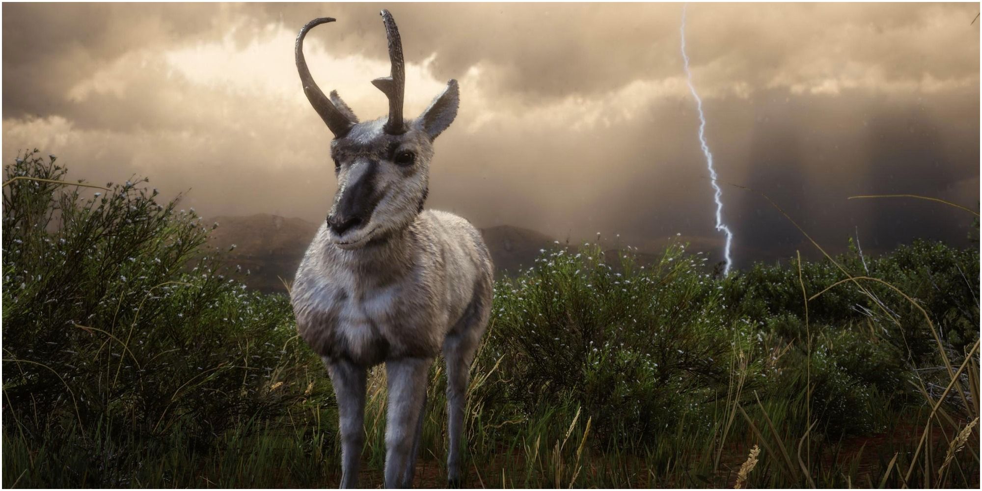 Red Dead Redemption 2 Up Close View Of The Legendary Pronghorn