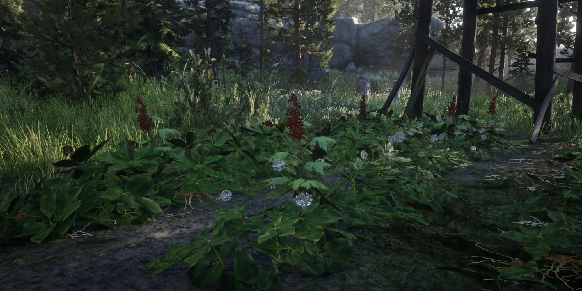 Red Dead Redemption 2: 10 Best Herbs And Plants And Where To Find Them