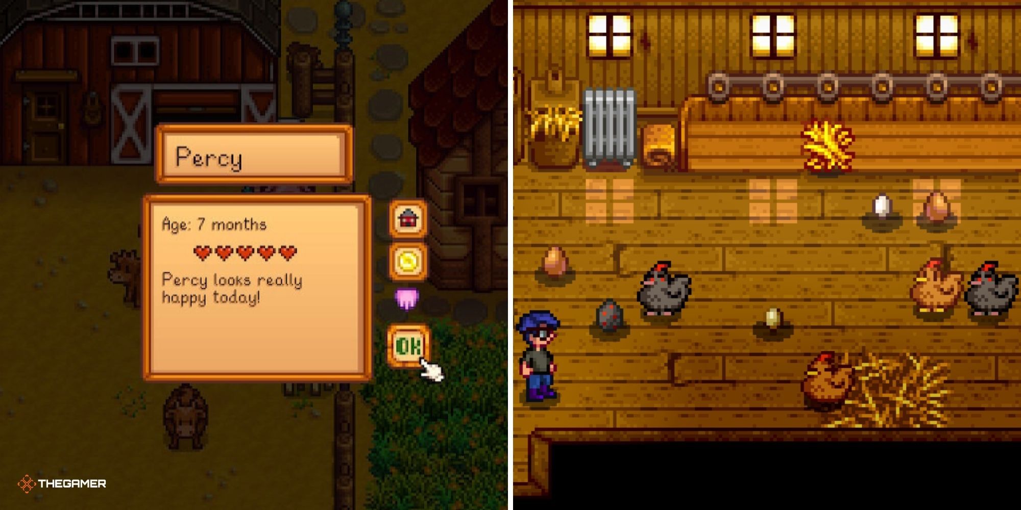 Split image of Stardew Valley - Animal's Menu on left, player inside a Chicken Coop on right