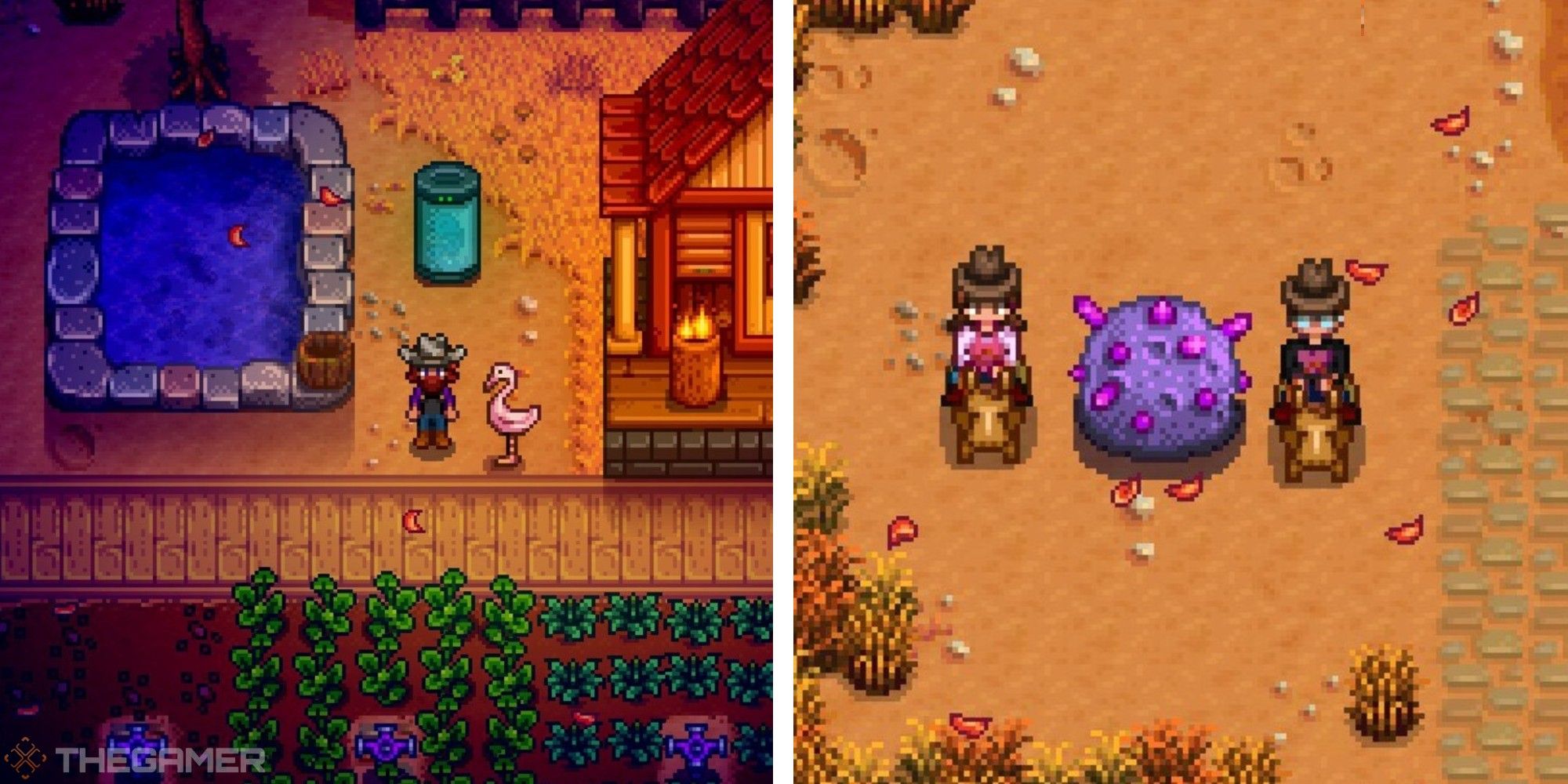 Stardew Valley All Random Events And What They Do