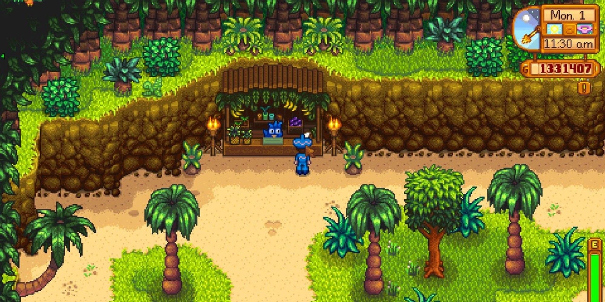 player standing next to ginger island trader