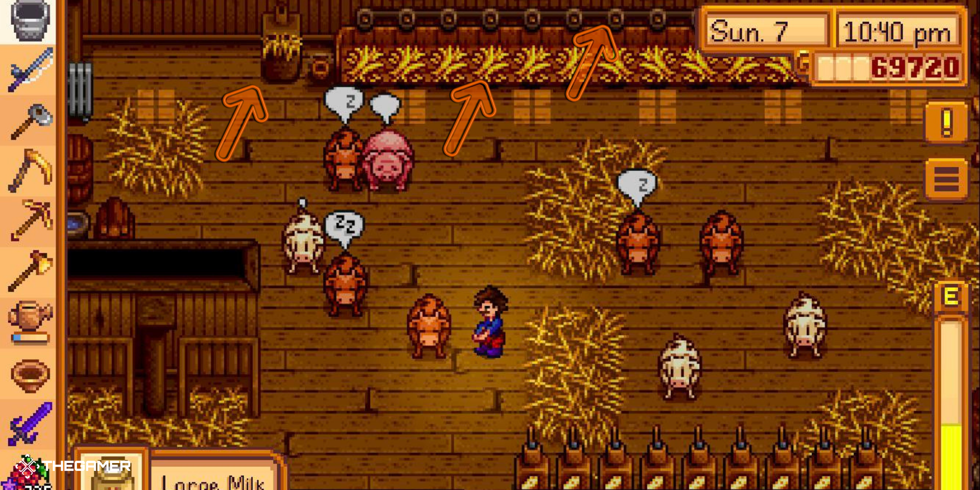 Stardew Valley - Inside a Deluxe Barn with arrows pointing out special features