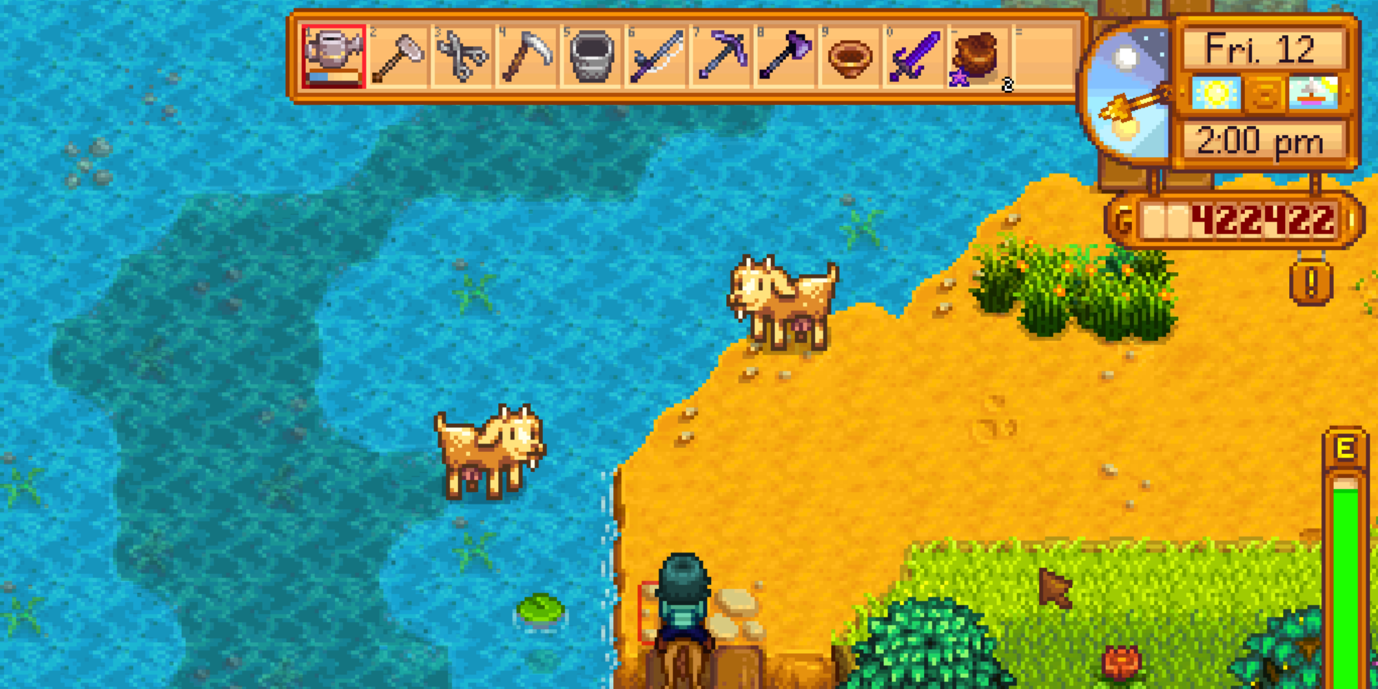Stardew Valley - Player standing with her goats