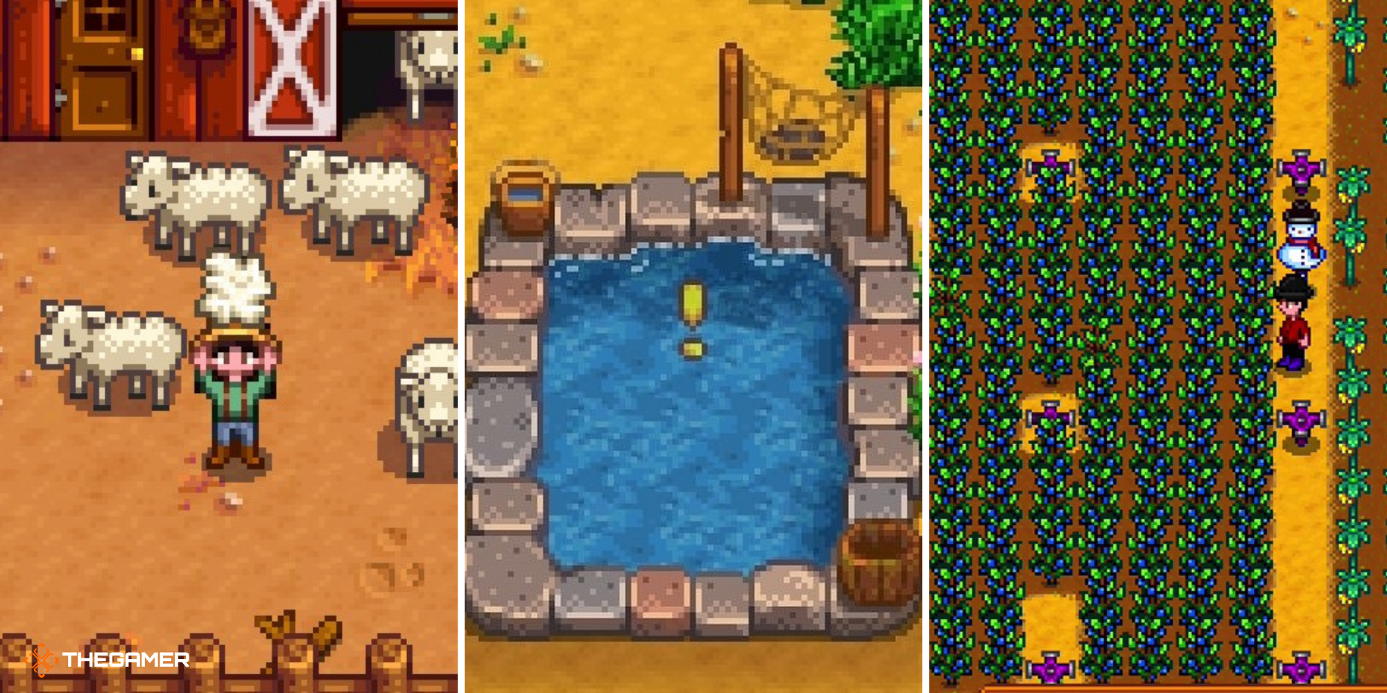 Stardew Valley - Player with sheep on left, Player with blueberries on right, fish pond in centre