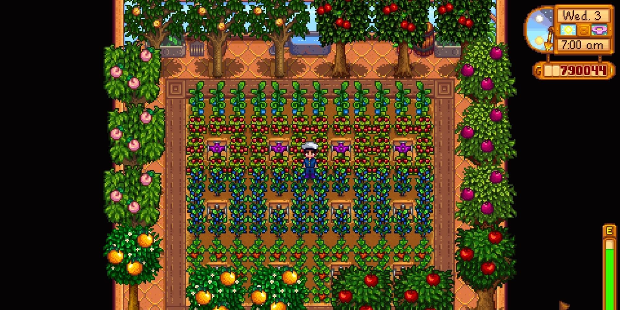 Stardew Valley - player standing inside the Greenhouse with lots of crops