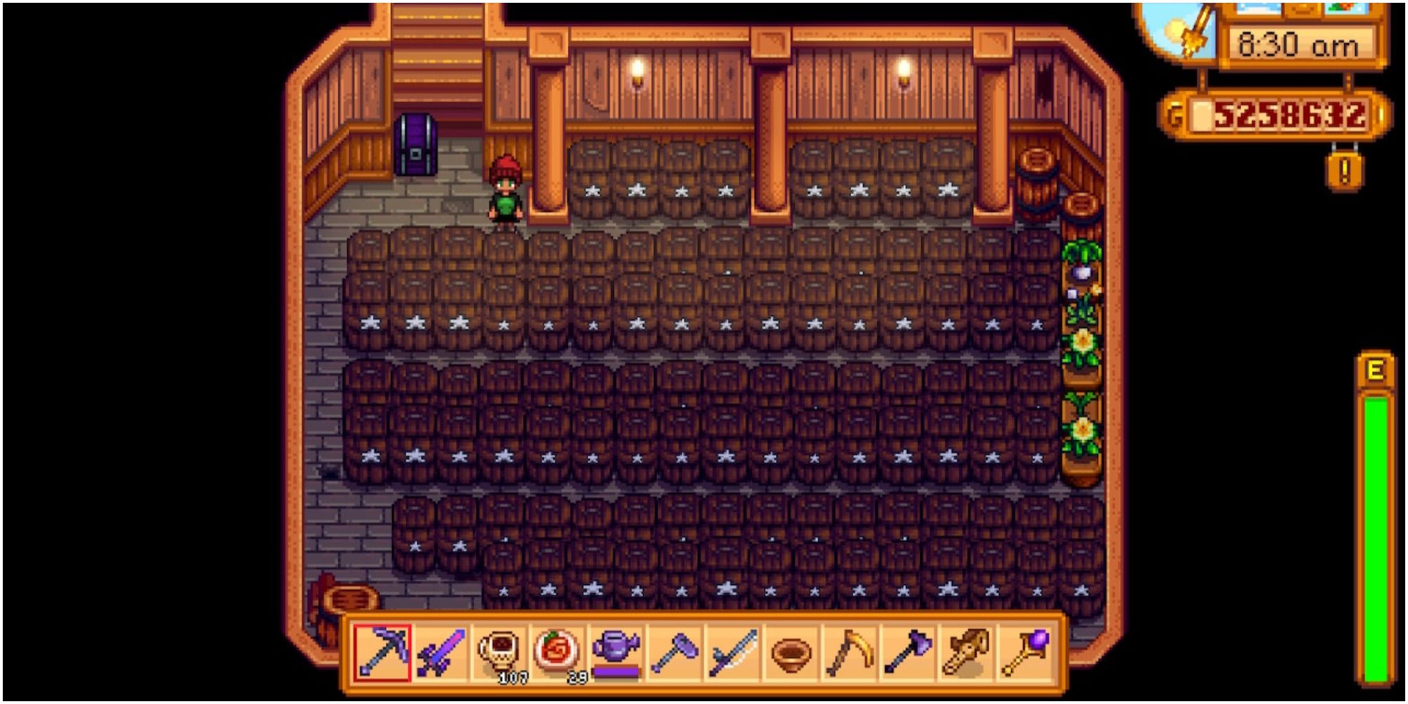 Stardew Valley: An image of a cellar full of Casks.
