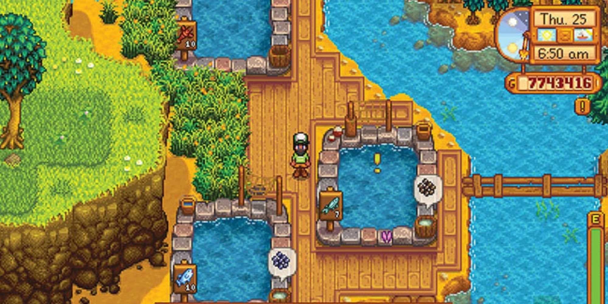 Stardew Valley: The player stands beside a quest-ready Fish Pond on the River Farm