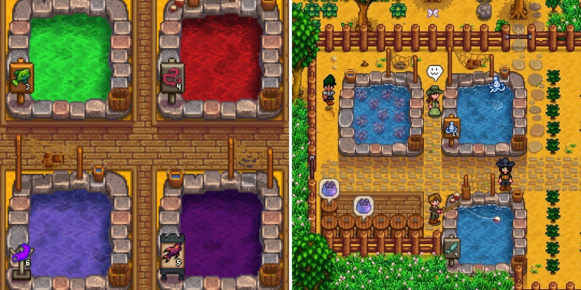 Stardew Valley: A split image of coloured ponds on the left and different pond decorations on the right