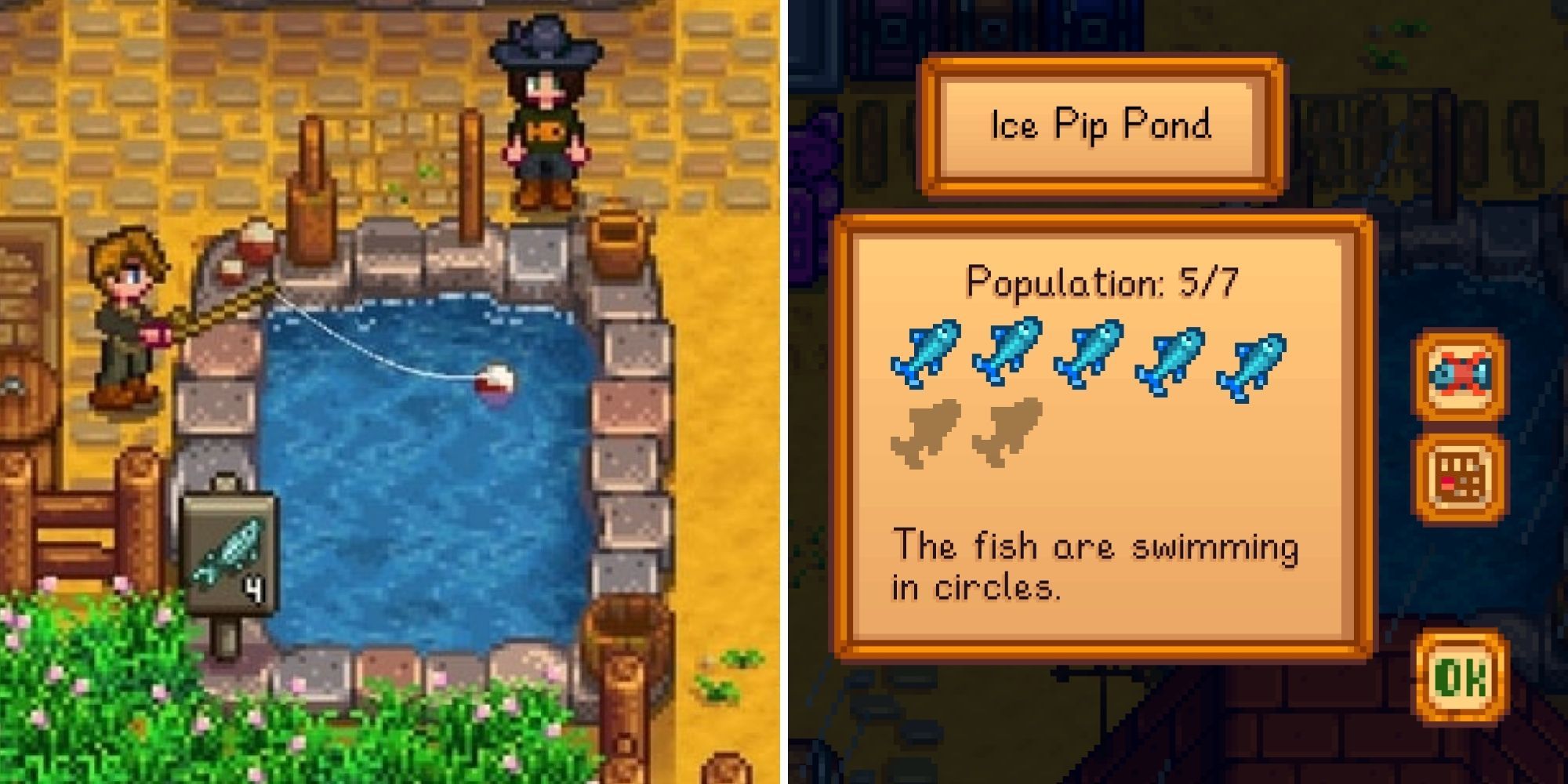 Stardew Valley: A split image of the player fishing in a Fish Pond on left and a pond menu on right