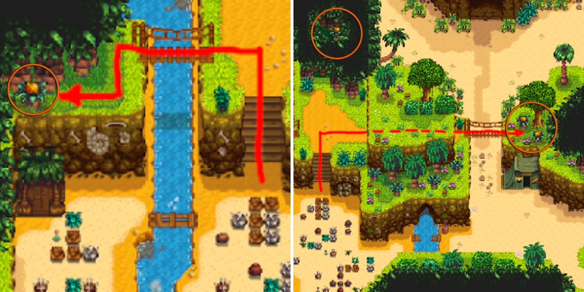 Every Golden Walnut Location In Stardew Valley