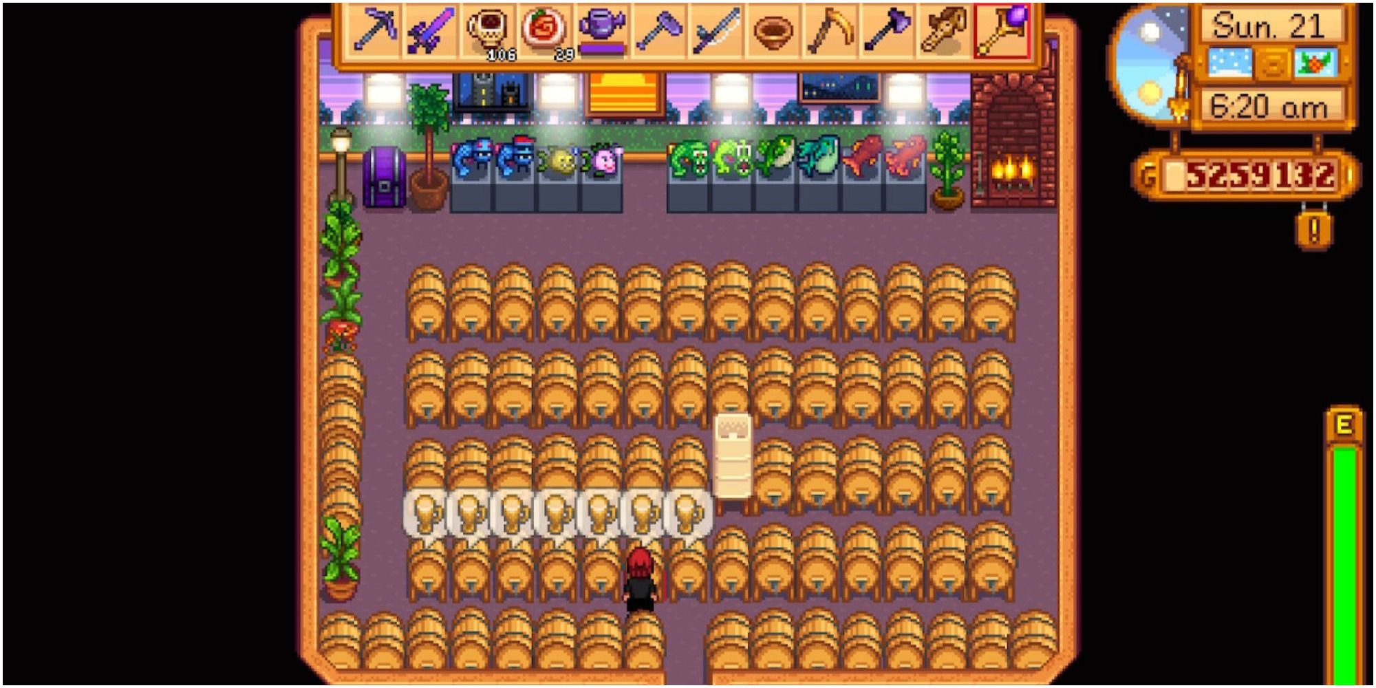 Stardew Valley: An image of a shed full of Kegs producing Pale Ale.