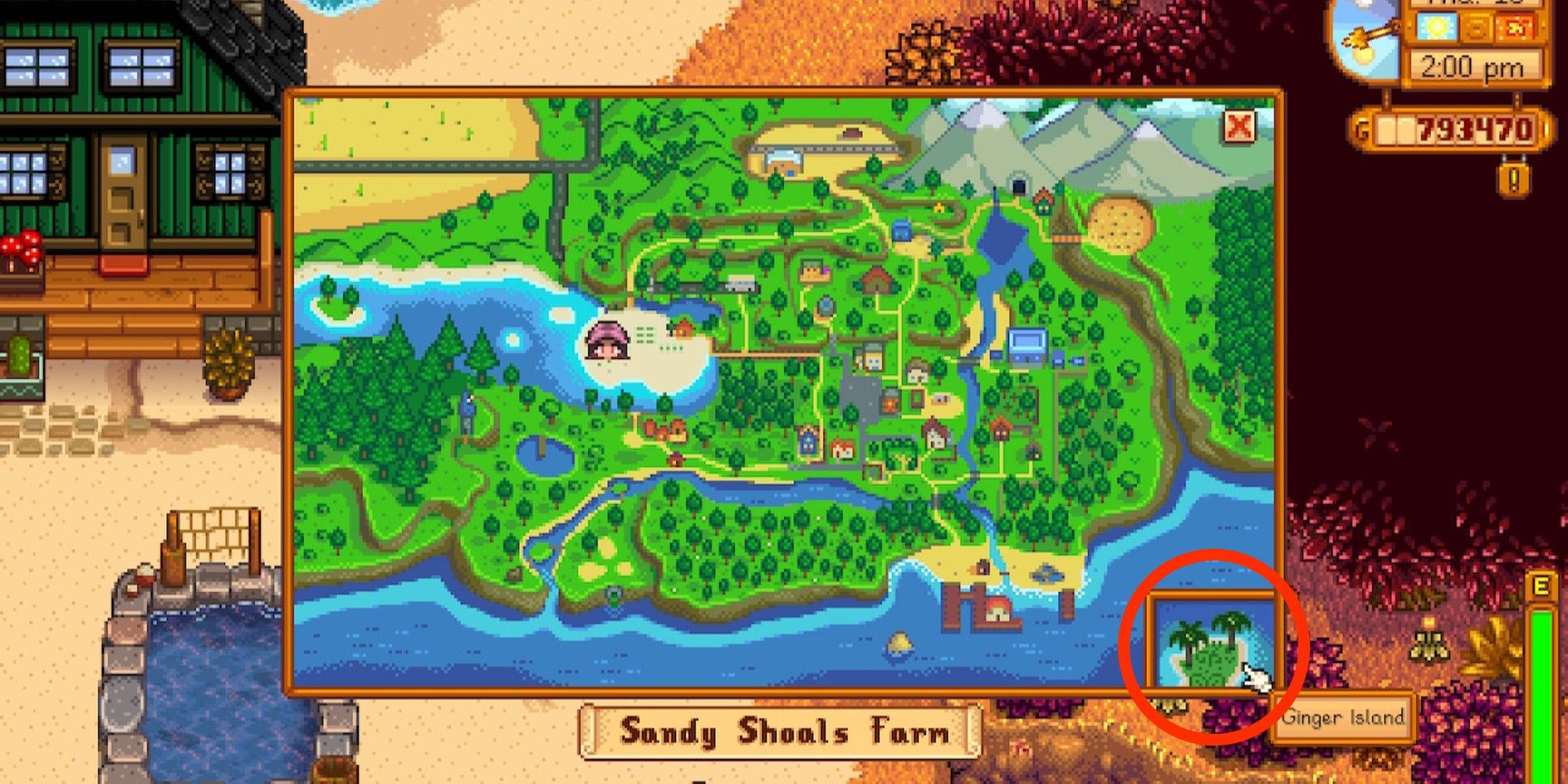 stardew map with ginger island circled