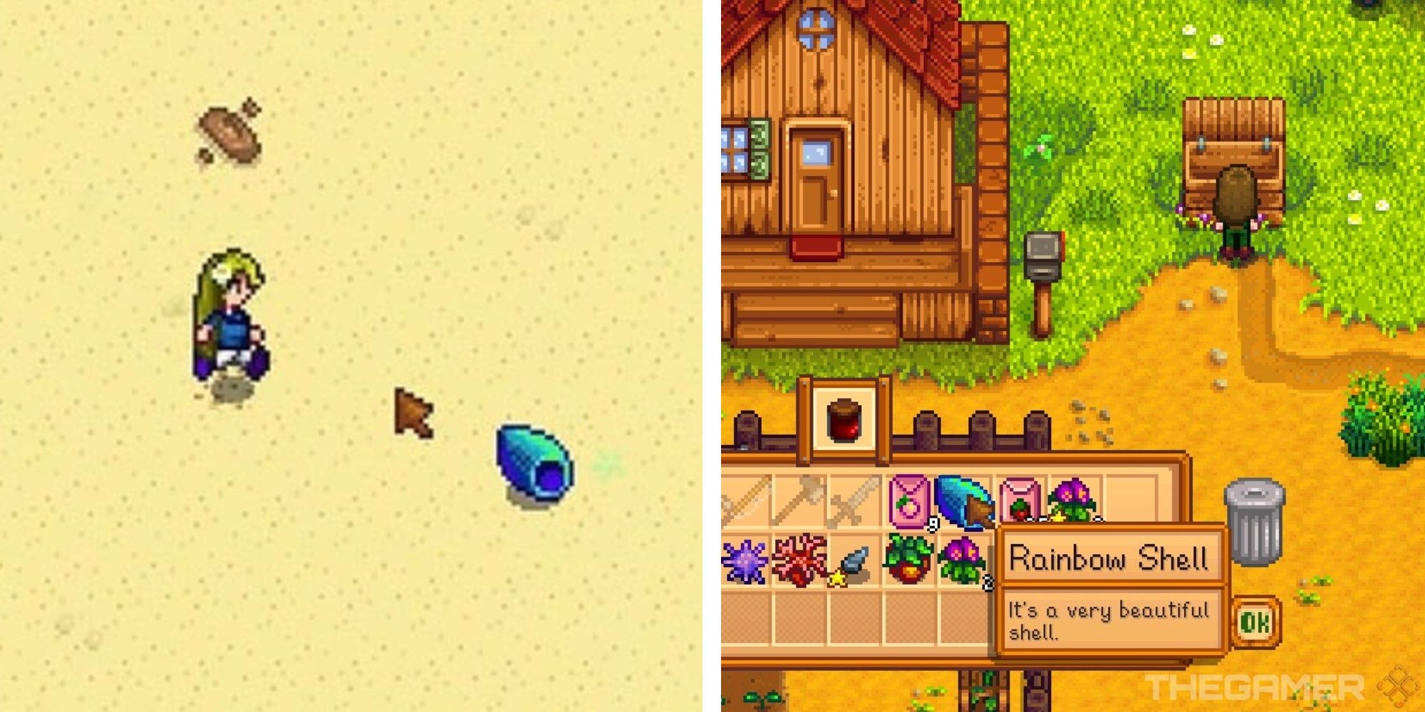 image of player finding a rainbow shell next to image of rainbow shell in player inventory