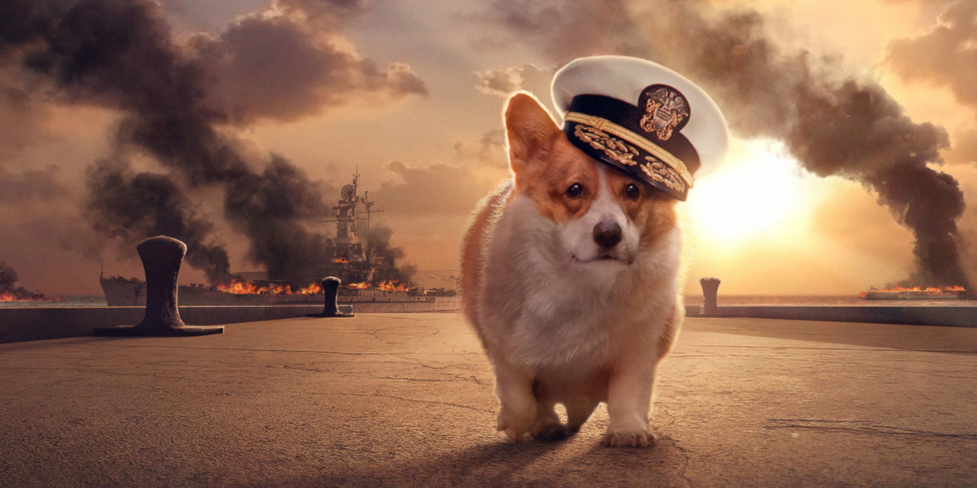 World of Warships National Dog Day