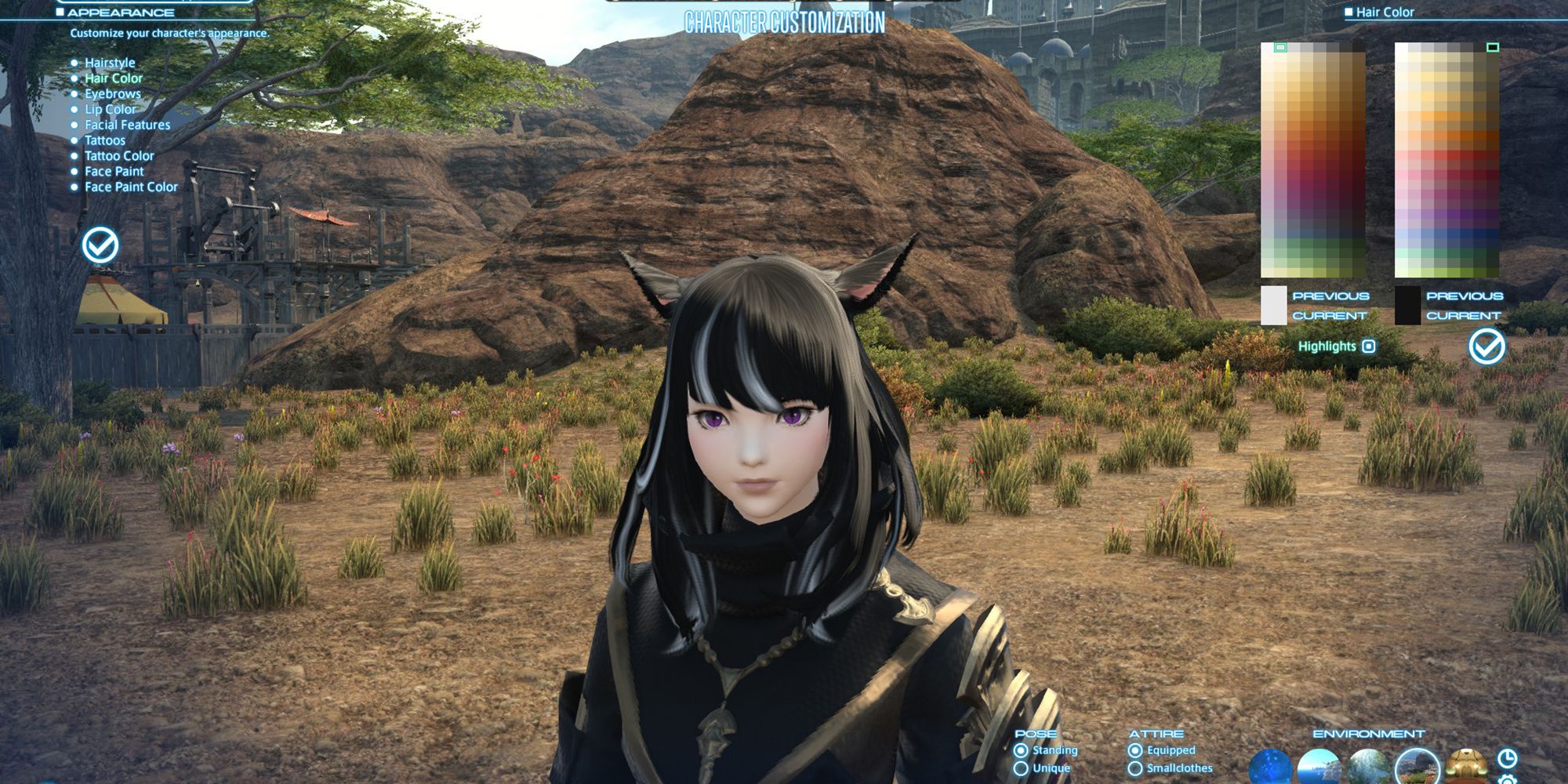changing character's hair color at the aesthetician in Final Fantasy 14