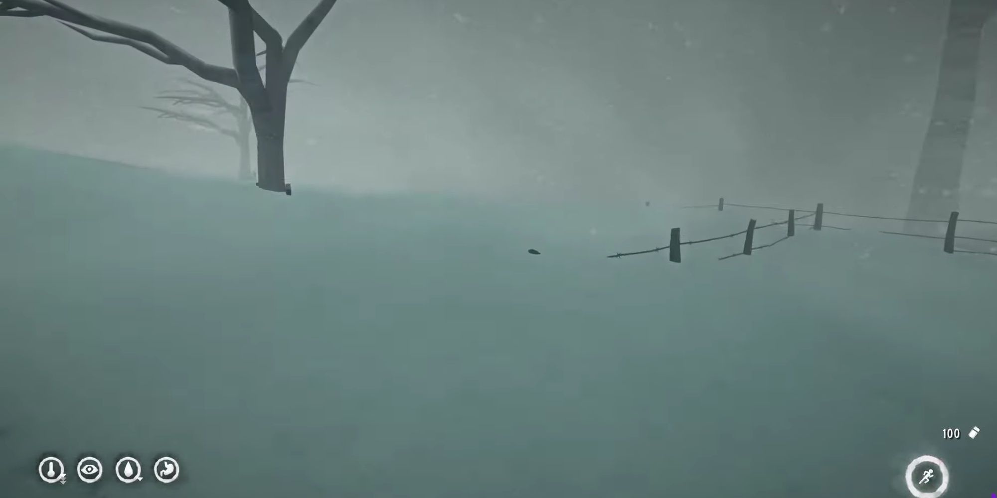 The Long Dark: Blizzard Ingame Weather Effect