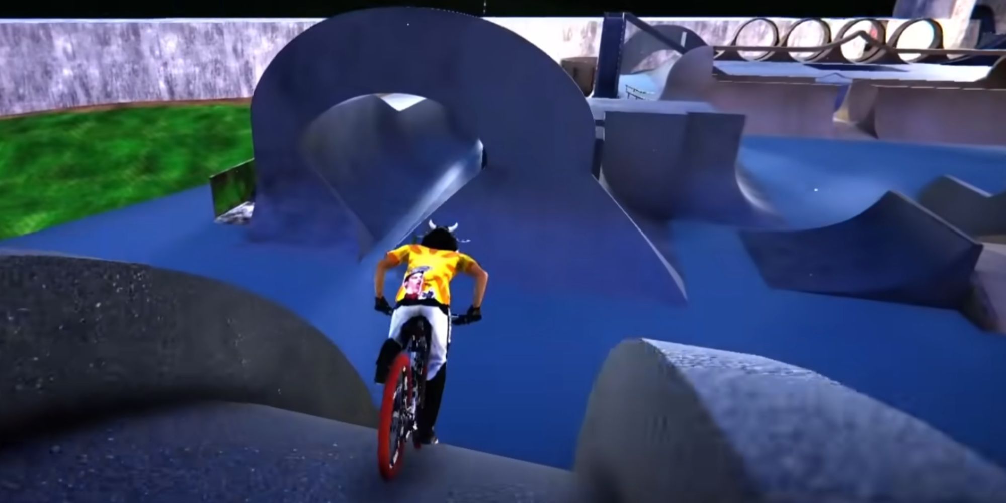 Descenders The Best Seeds
