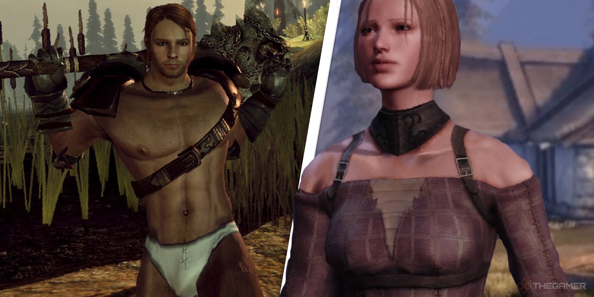 Dragon Age Origins: Human Commoner Origin 