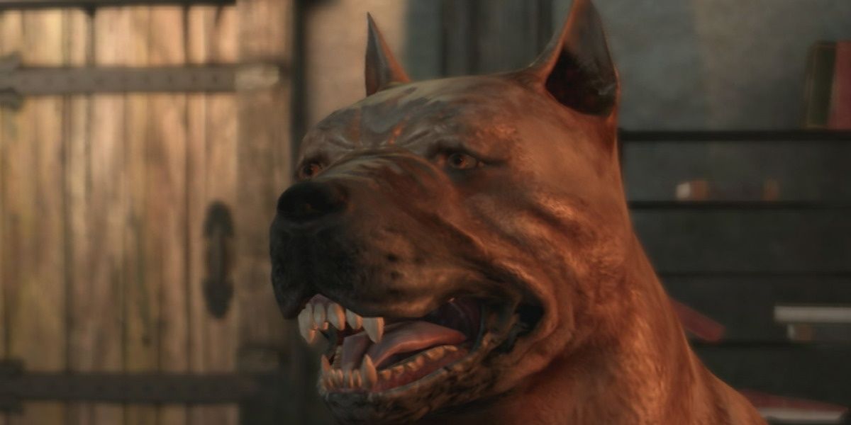 Clos up of Dog in Dragon Age: Origins