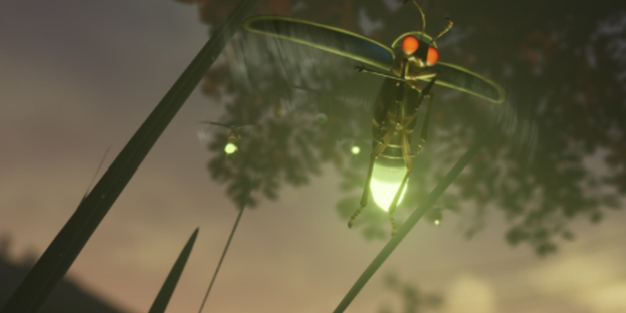 Grounded firefly flying at night
