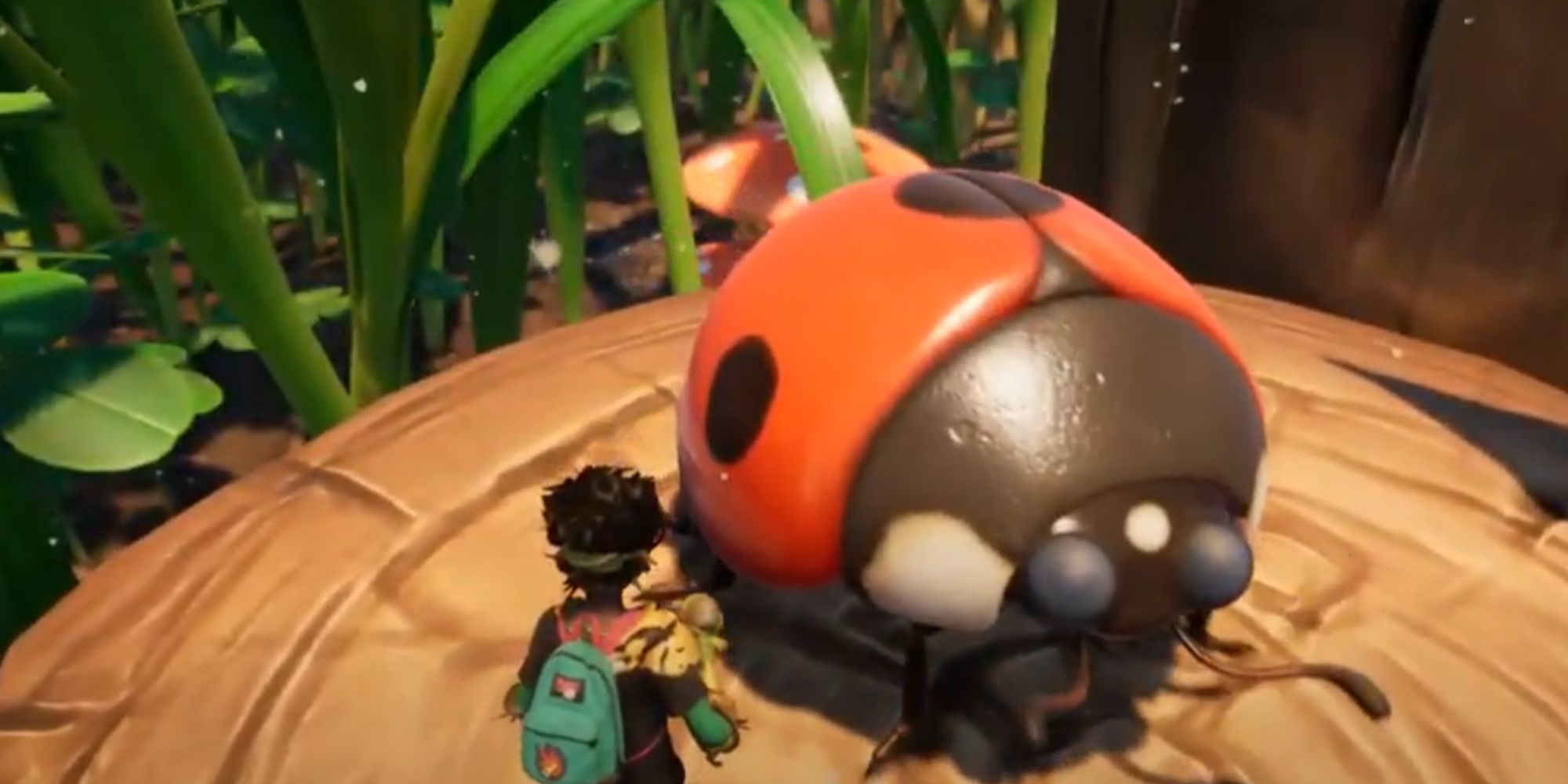 Grounded ladybug next to character