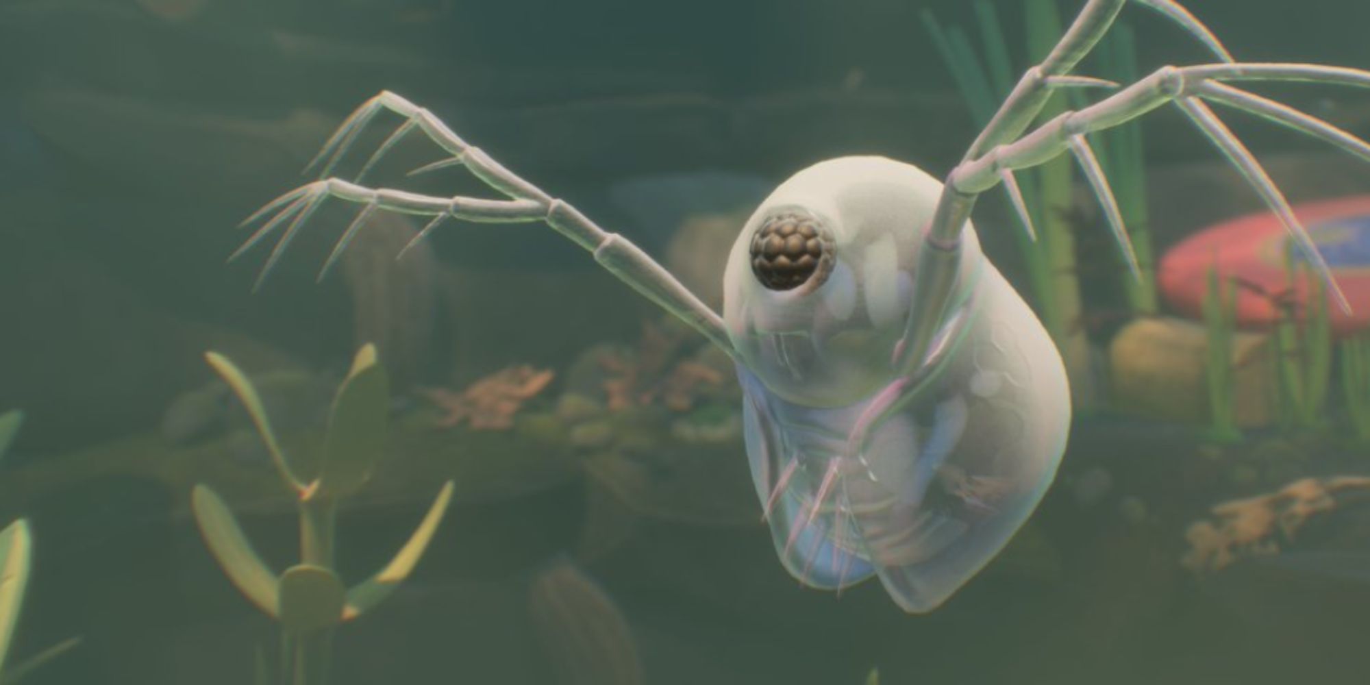 Grounded water flea enemy underwater