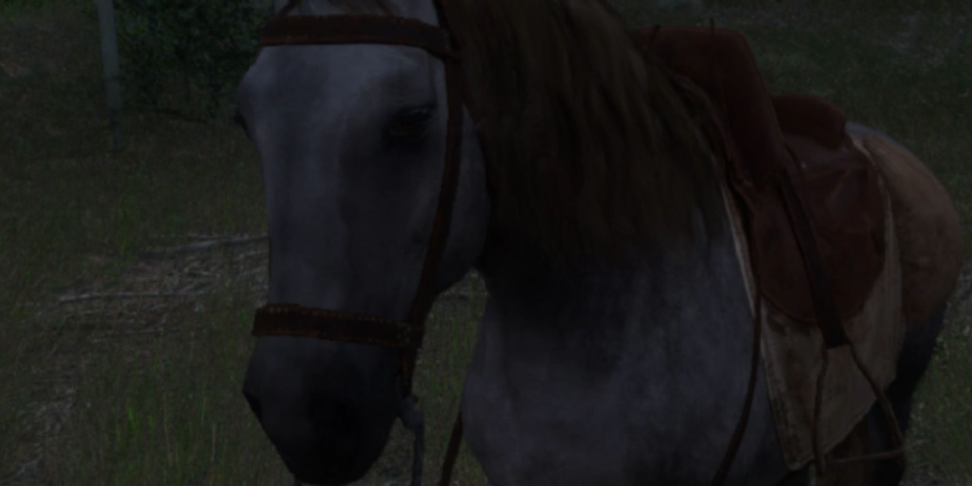 kingdom_come_deliverance_horse_outside_during_the_night
