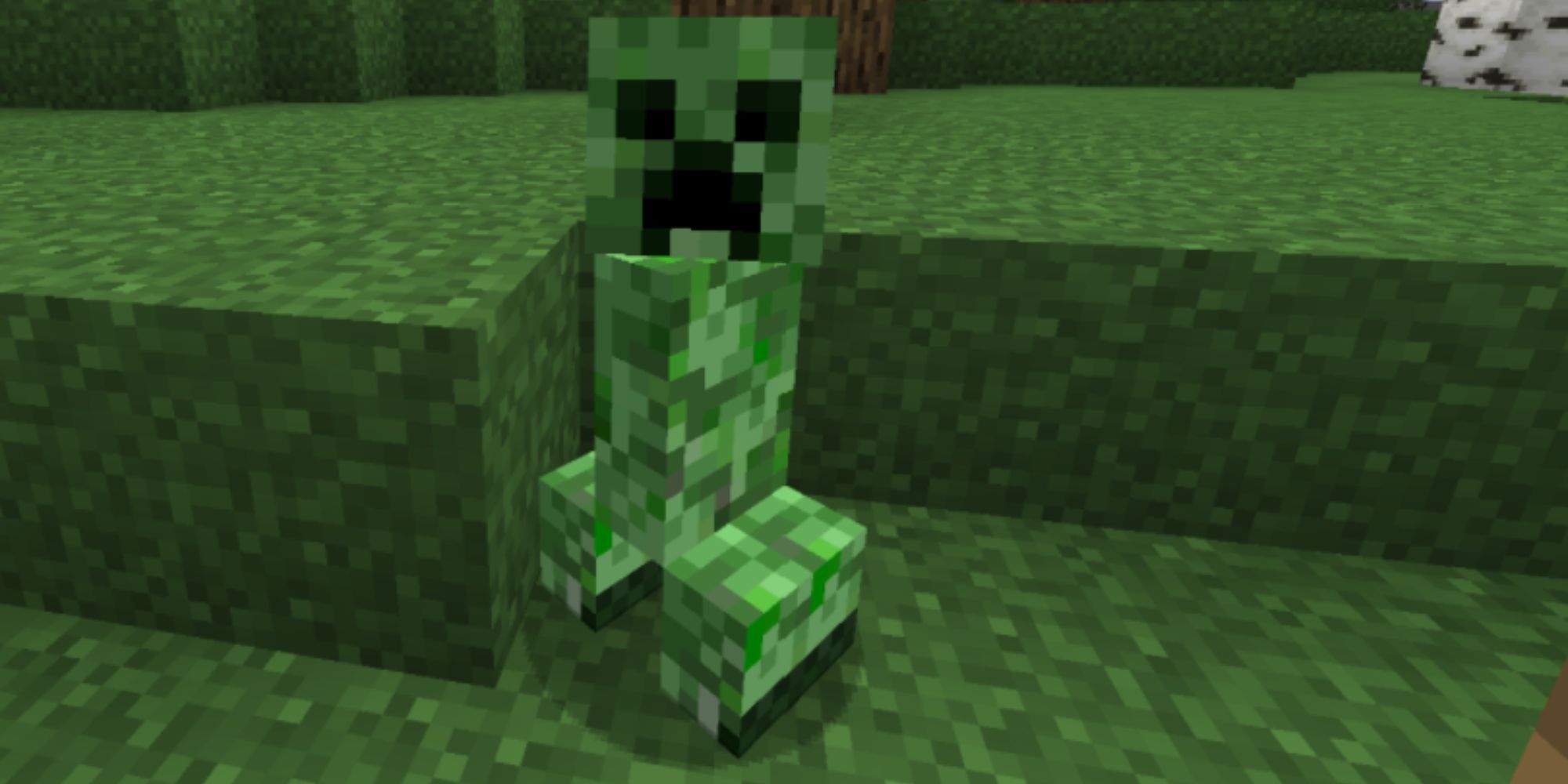 minecraft_creeper_enemy_in_forest