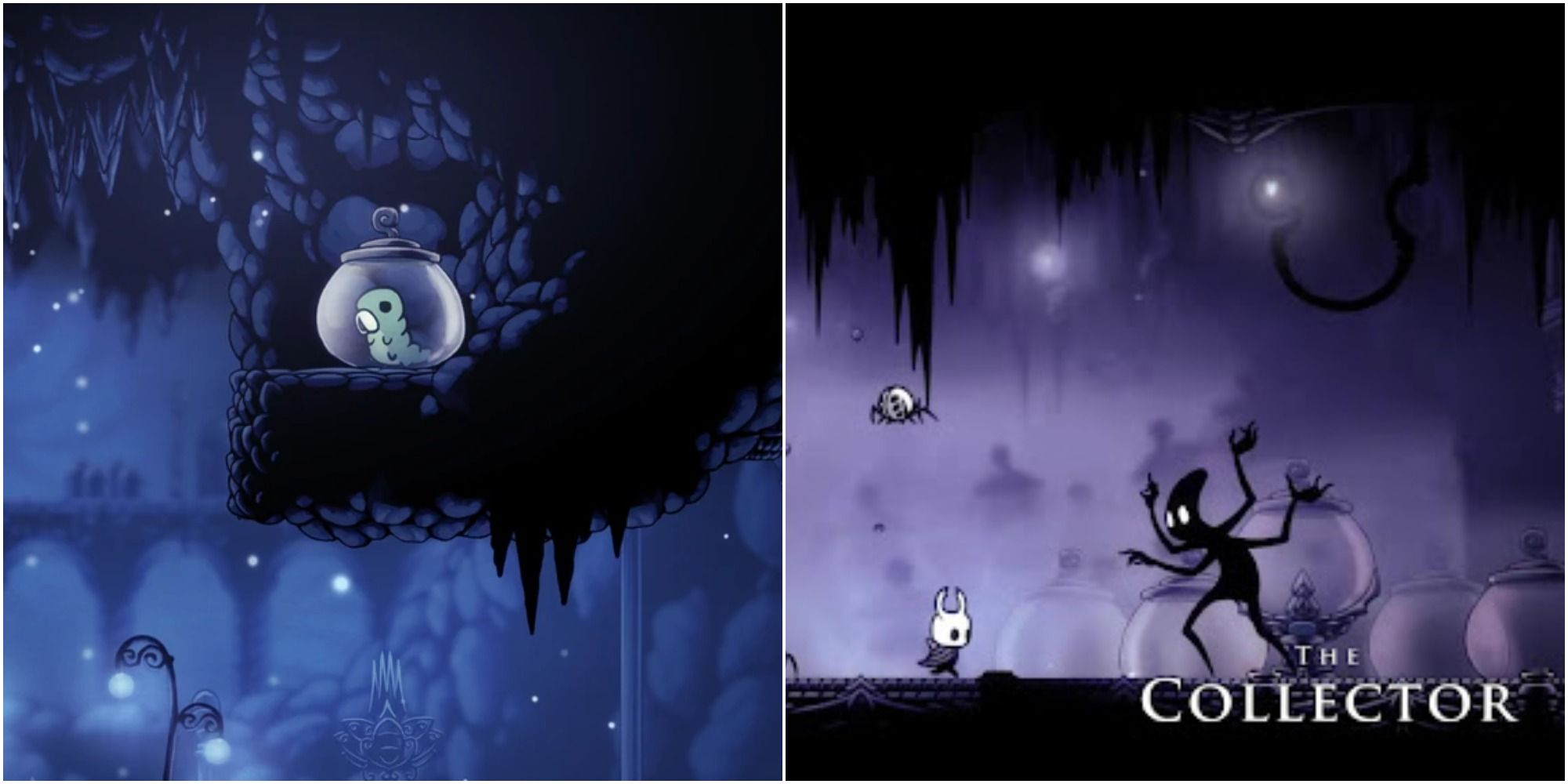 Hollow Knight All Grub Locations