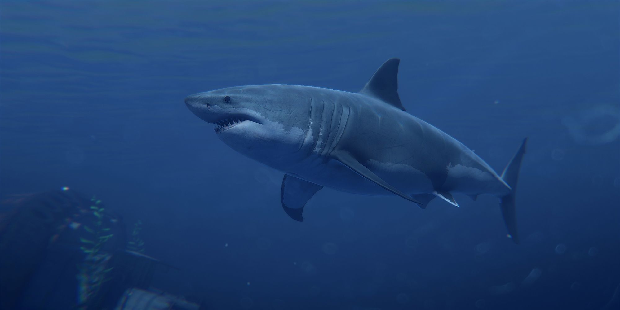 Rust's Underwater Update Adds Submarines And Sharks