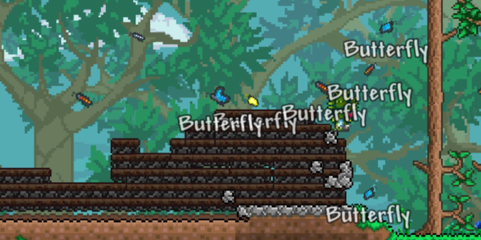 terraria_group_of_butterflies_in_the_forest_biome