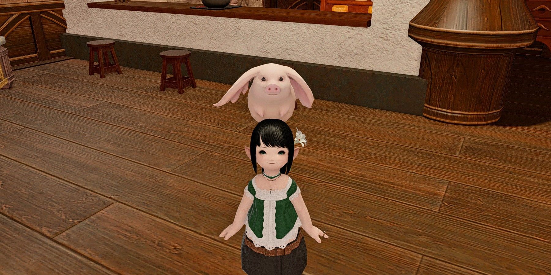 Lalafell with pig minion. 