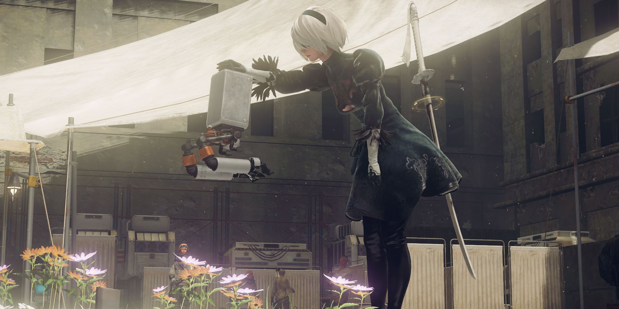 2b petting Pod in resistance camp