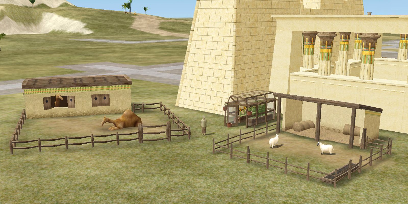 A tale in the desert, screenshot, camels and sheep in paddocks