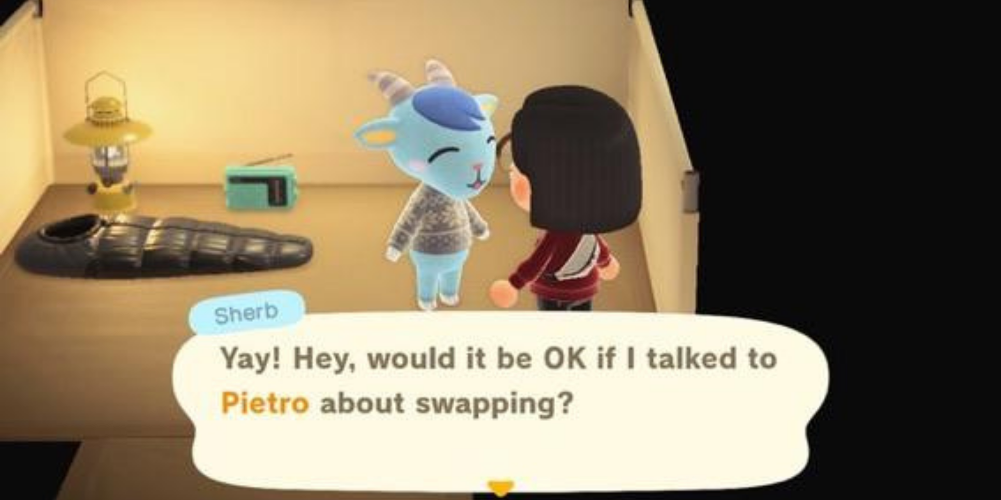 Animal Crossing New Horizons Player talking to Camper about swapping with another villager